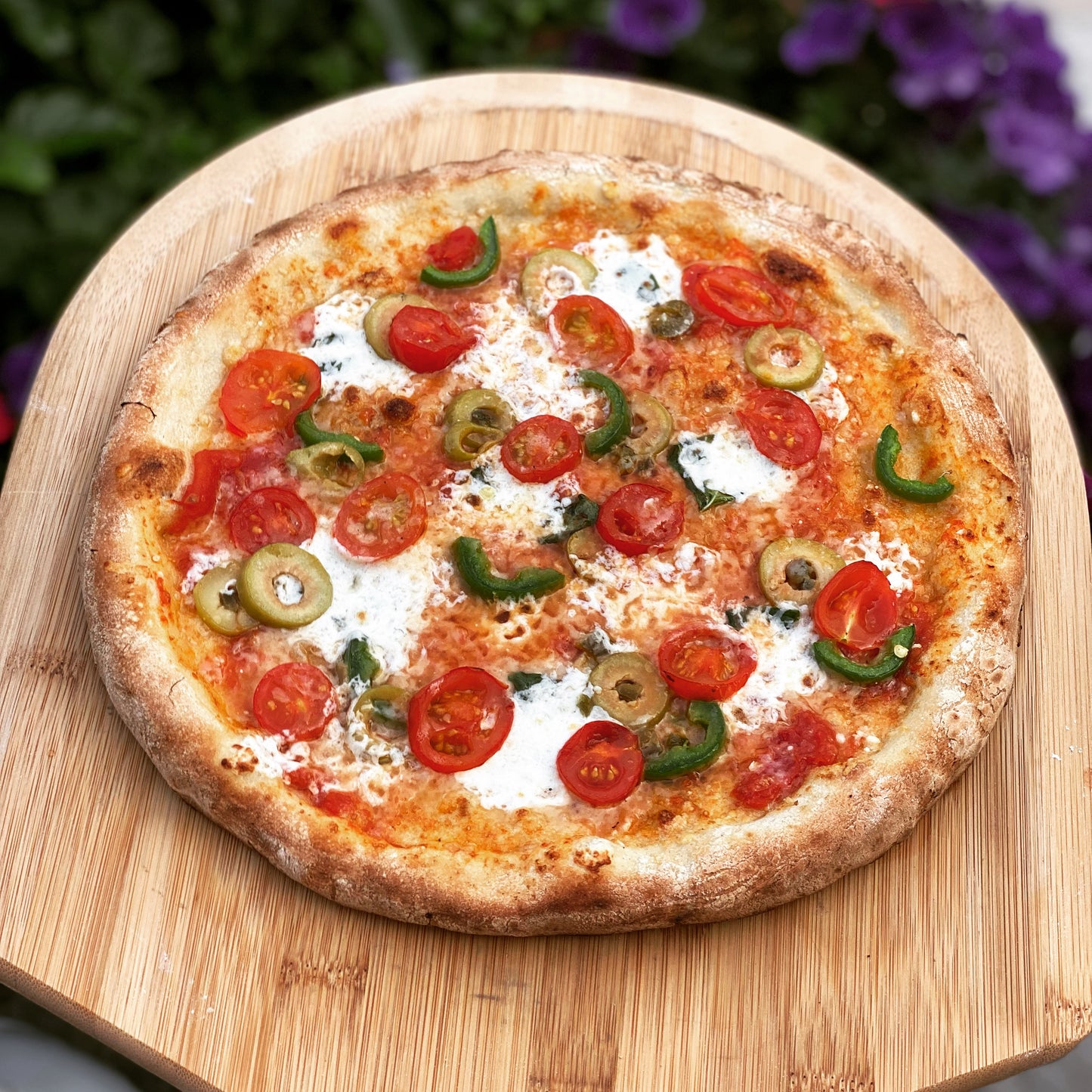 PRE-ORDER Bertello SimulFIRE 16" Rotating Outdoor Pizza Oven Bundle with Pizza Peel (shipping est. May 2026)